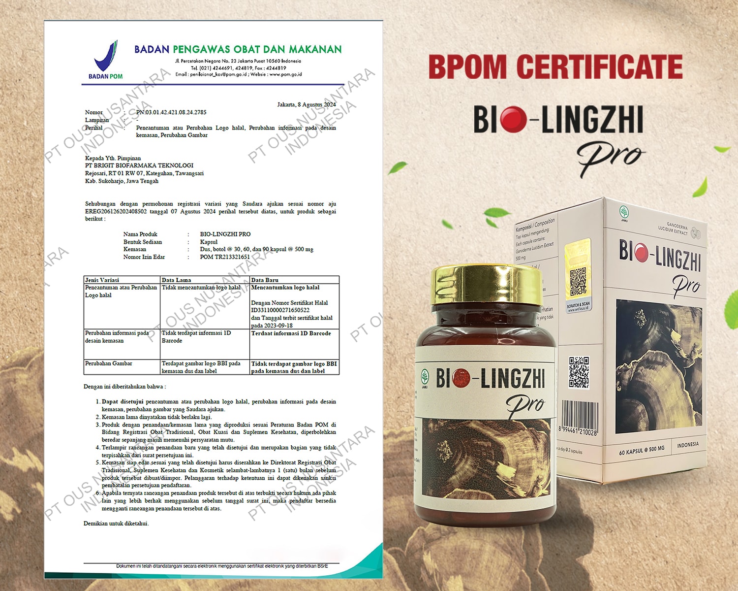 Surat persetujuan perubahan kemasan Bio-Lingzhi Pro, POM TR213321651, tanggal 8 Agustus 2024
