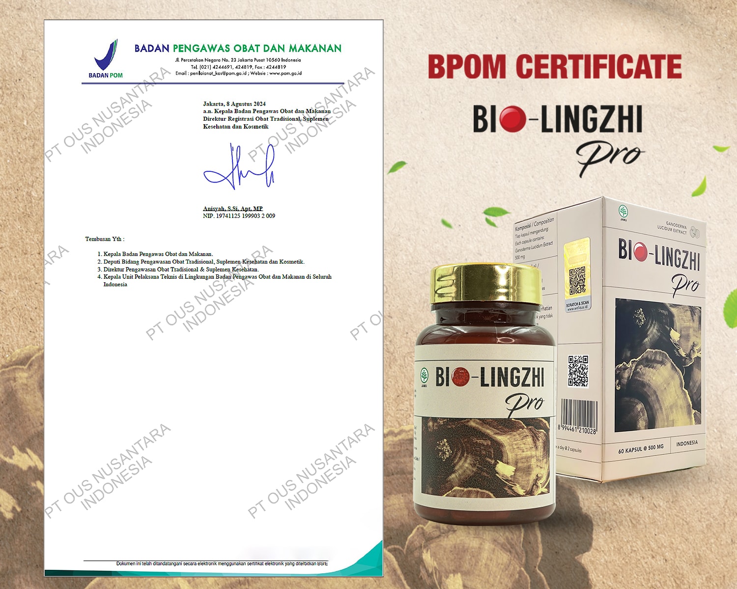 Halaman kedua surat BPOM Bio-Lingzhi Pro bertanggal 8 Agustus 2024
