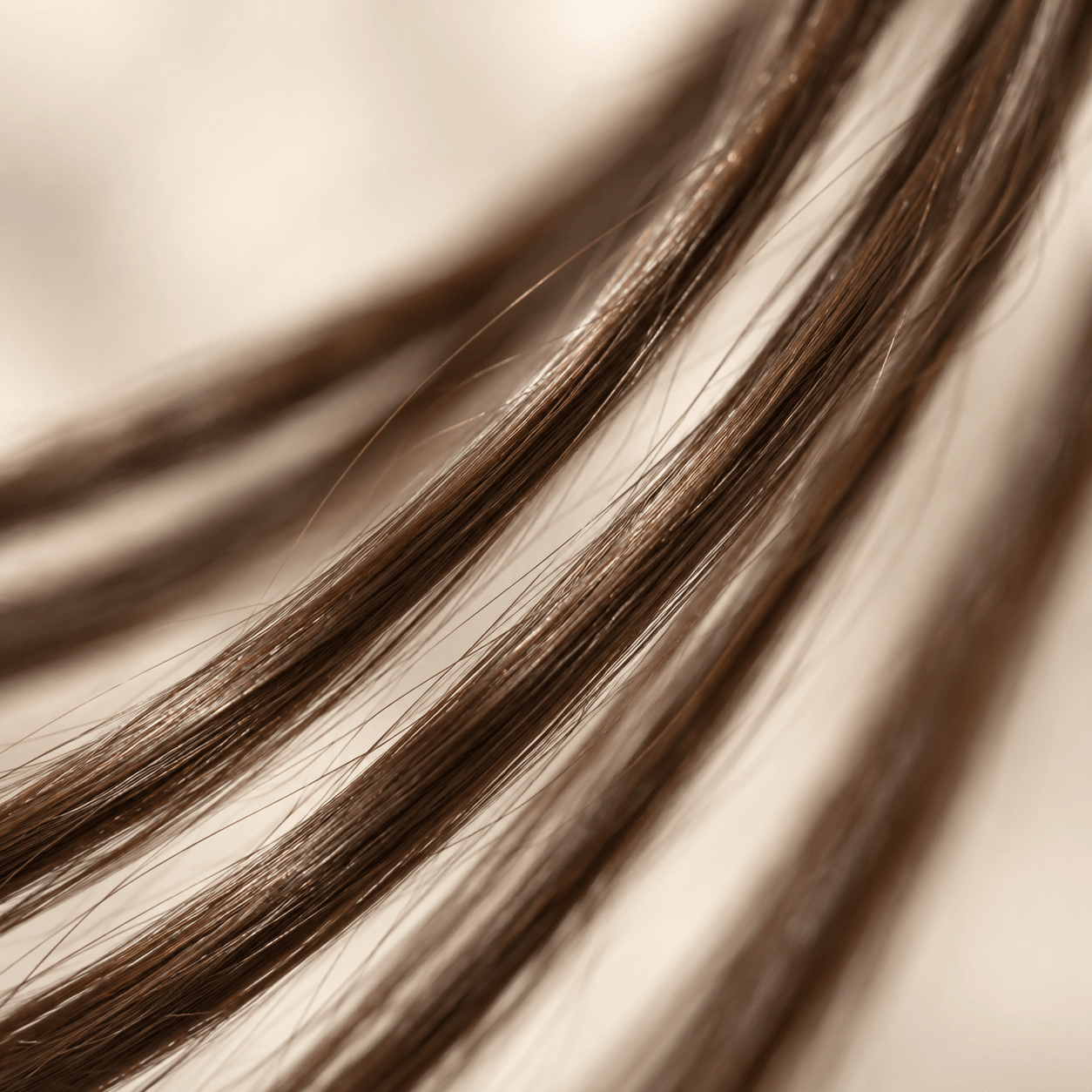 Foto makro helaian rambut cokelat yang halus dan berkilau.