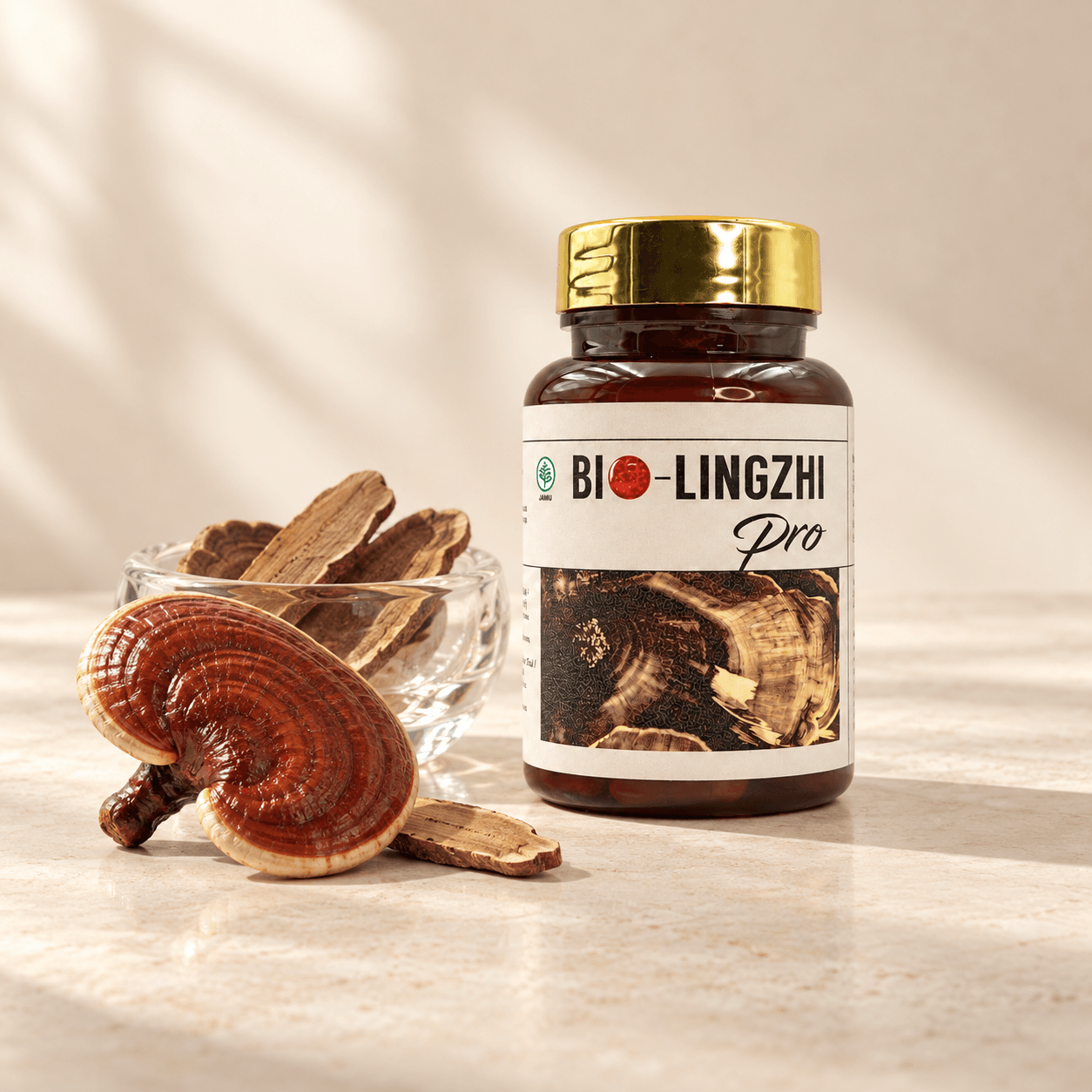 Ilustrasi botol Bio-Lingzhi Pro bertutup emas dengan jamur Lingzhi dan irisan Lingzhi dalam wadah kaca di atas batu ivory.