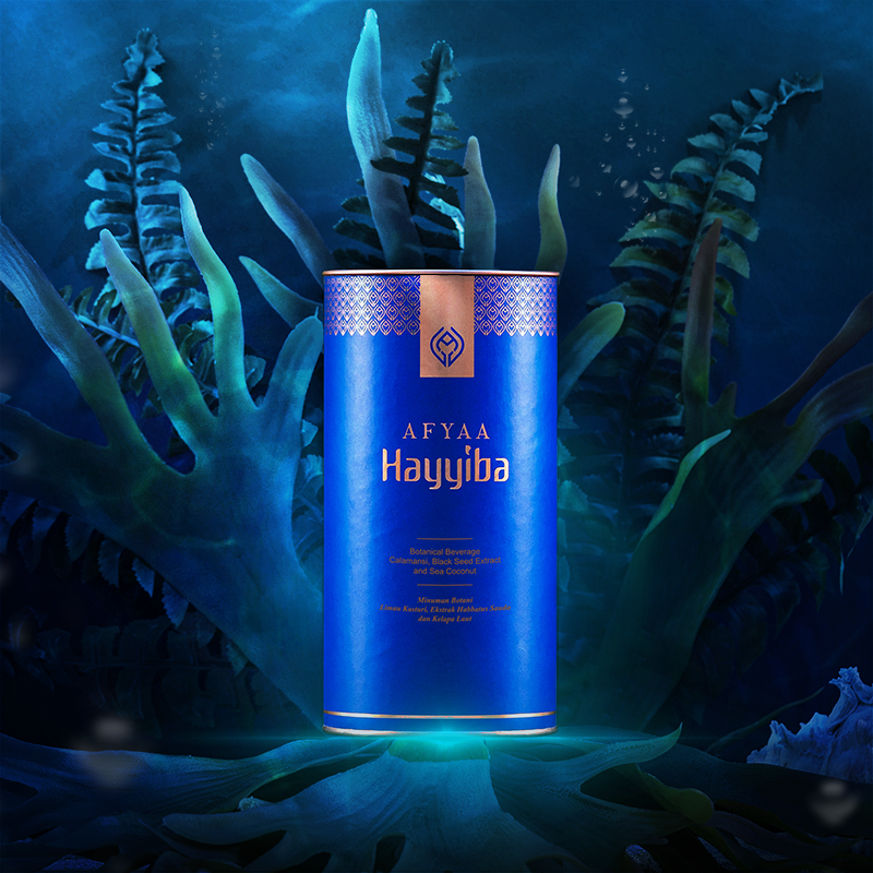 Hayyiba Hayyiba - Image 1